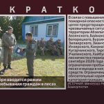 С 8 по 28 сентября вводится режим ограничения пребывания граждан в лесах.mp4_snapshot_00.01_[2026.09.09_10.21.12]