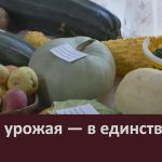 «Сила урожая — в единстве».mp4_snapshot_00.00_[2026.09.17_09.57.47]