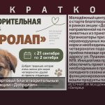 В Белорецке стартовал благотворительный сбор в рамках акции «Добролап».mp4_snapshot_00.03_[2026.09.30_10.23.02]