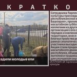 В Тирляне высадили молодые ели.mp4_snapshot_00.02_[2026.09.12_09.34.38]